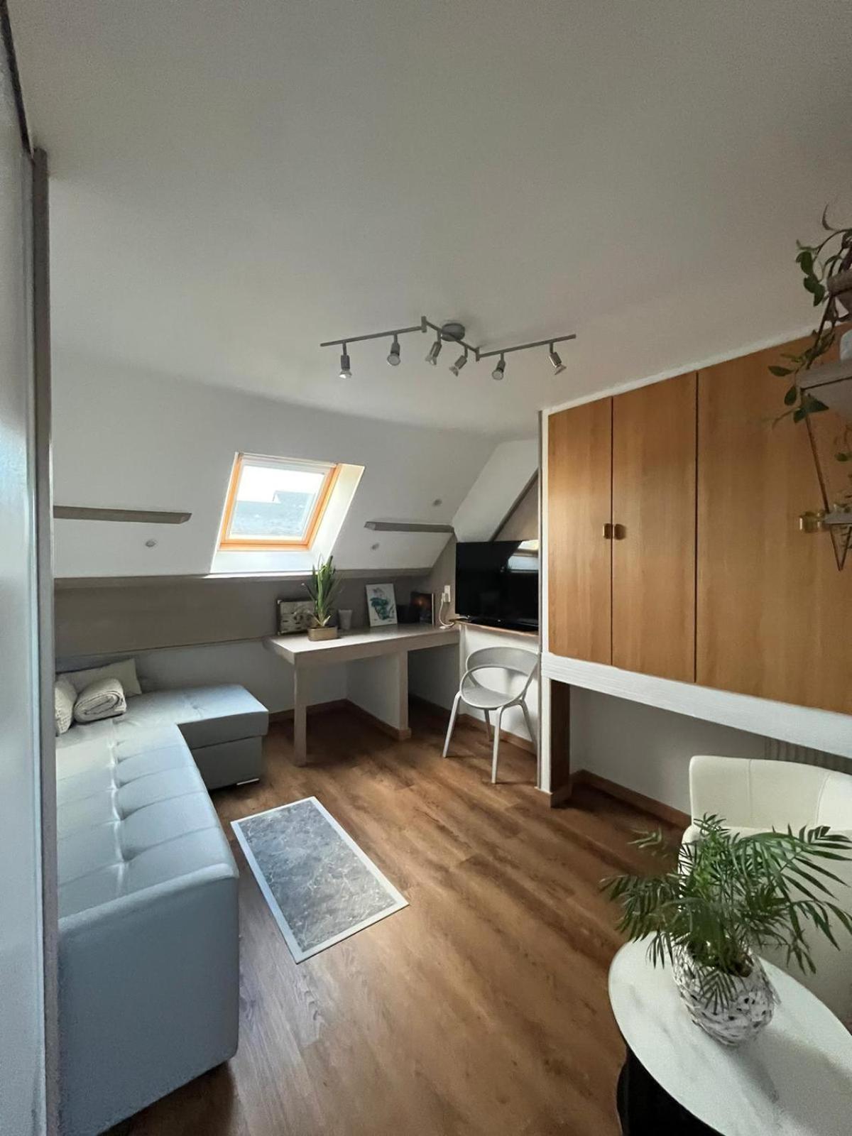 Appartement Type Loft Avec Terrasse Шербур-ан-Котантен Екстер'єр фото